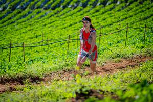 BIB: 
                            <button type="button" onclick="openModal(19161965)" class="btn btn-primary btn-sm float-right btn-popup" data-toggle="modal" data-target=".modal-high-quality">
                        <i class="fas fa-shopping-cart"></i> Add to Cart
                    </button>
                                            <button type="button" onclick="isThisMe(19161965, true)" class="btn btn-success btn-sm float-right btn-popup btn-isme hidden" data-toggle="tooltip" data-placement="bottom" title="นี่คือรูปของคุณใช่ไหม คลิกที่นี่เพื่อเอาเข้าอัลบั้ม">
                        <i class="fas fa-plus"></i> Add to album
                    </button>
                    <button type="button" onclick="isThisMe(19161965, false)" class="btn btn-warning btn-sm float-right btn-popup btn-isnotme hidden">
                        <i class="fas fa-ban"></i> Remove from album
                    </button>